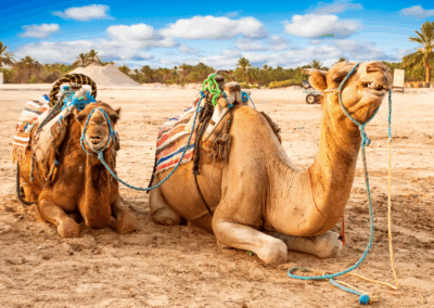 TOUR TUNISIA