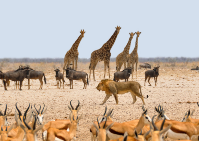 NAMIBIA